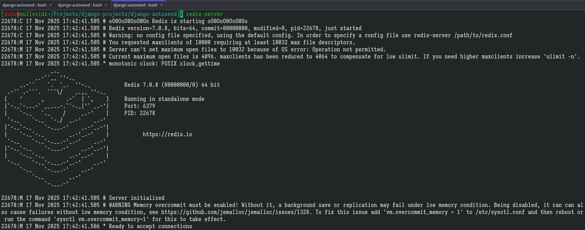 redis server running